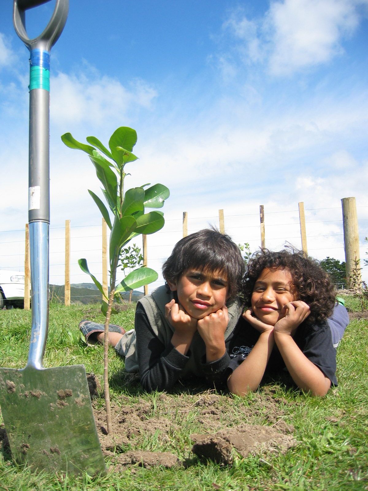 Rangatahi at Pokai marae traditional rongoa Māori planting. Photo ...