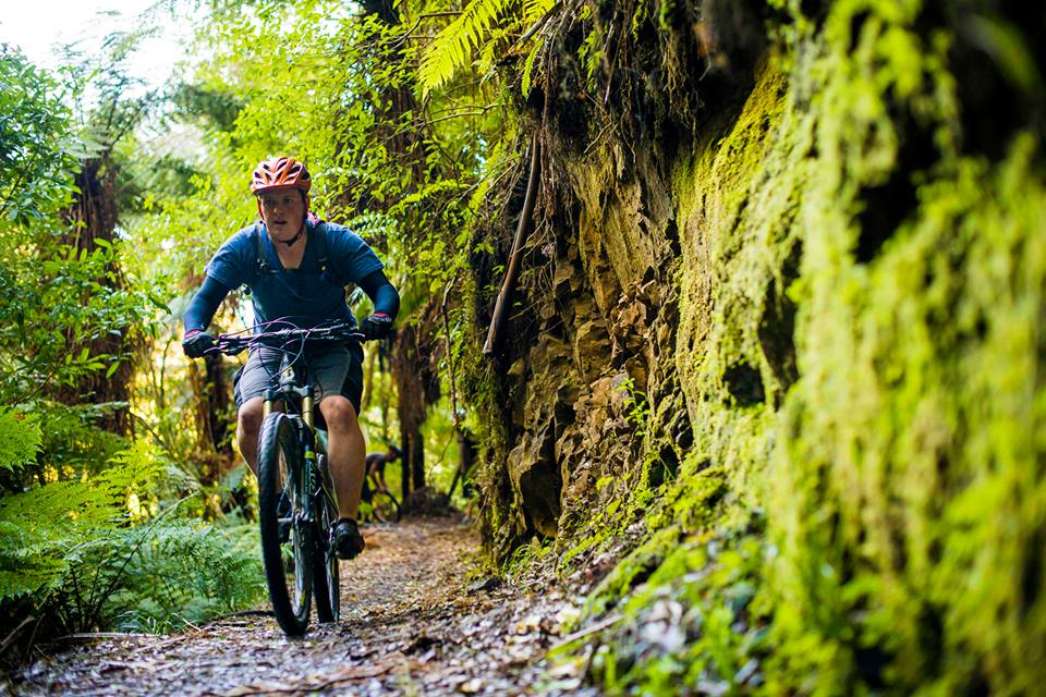 Type Cycle Riding Photo motu-trails-cycle-riding | Conservation blog
