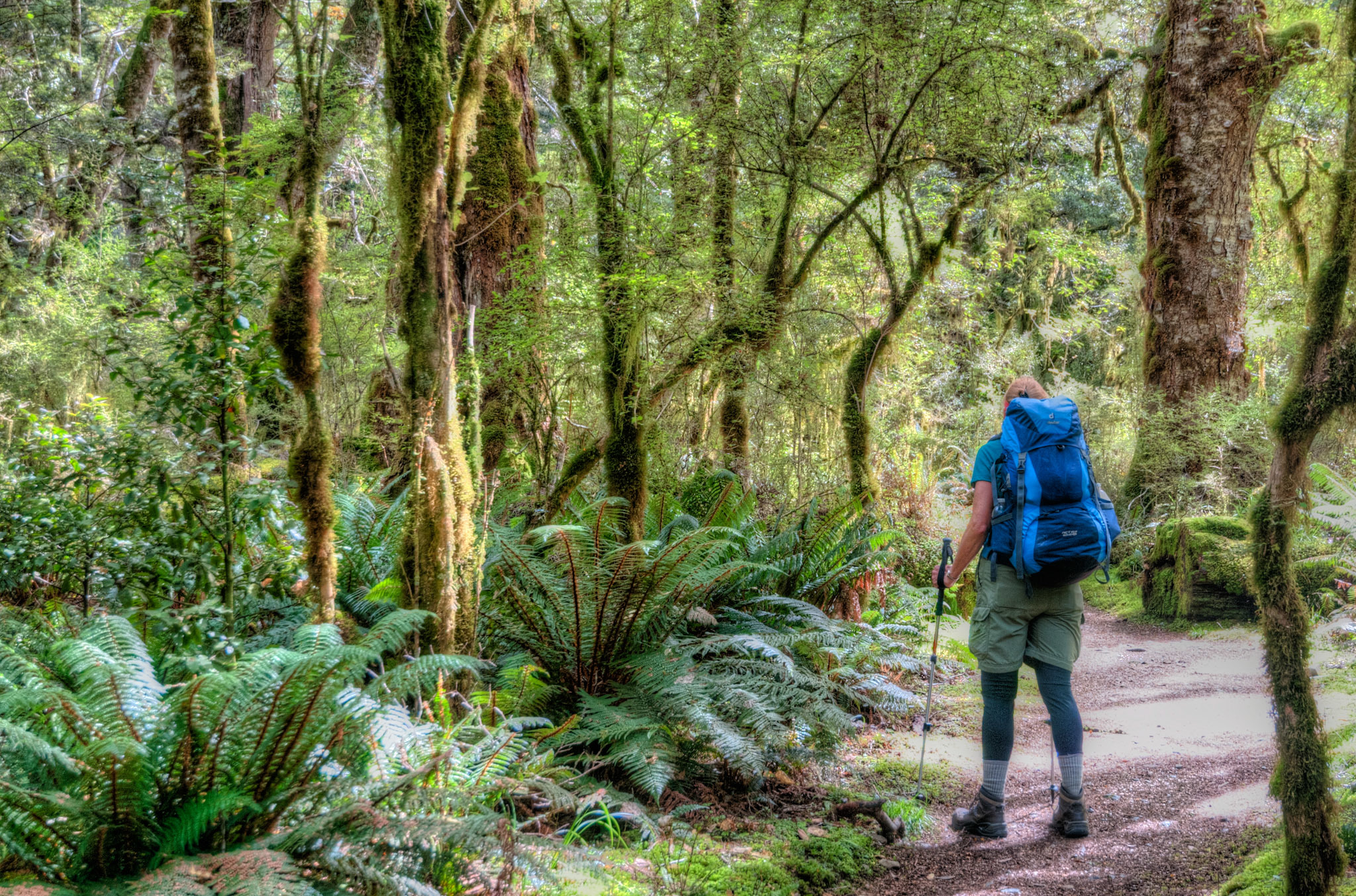 Your guide to booking a Great Walk (or hut or campsite) | Conservation blog
